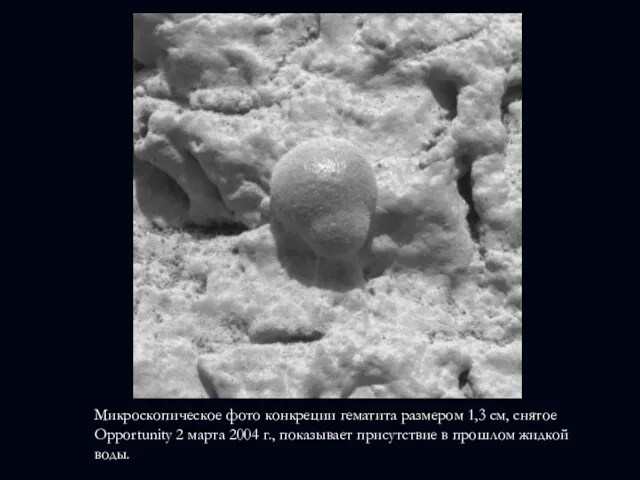 Микроскопическое фото конкреции гематита размером 1,3 см, снятое Opportunity 2