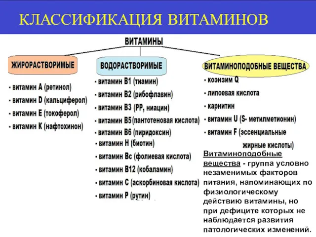 КЛАССИФИКАЦИЯ ВИТАМИНОВ Витаминоподобные вещества - группа условно незаменимых факторов питания, напоминающих по физиологическому