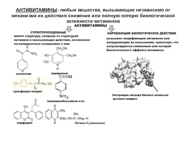 АНТИВИТАМИНЫ- любые вещества, вызывающие независимо от механизма их действия снижение или полную потерю биологической активности витаминов