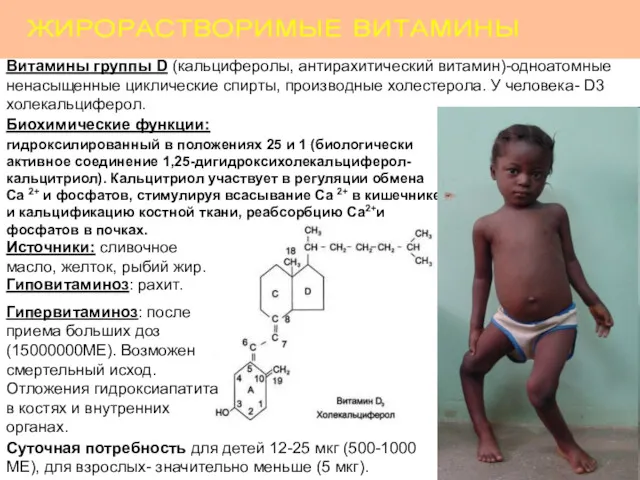 Витамины группы D (кальциферолы, антирахитический витамин)-одноатомные ненасыщенные циклические спирты, производные холестерола. У человека-