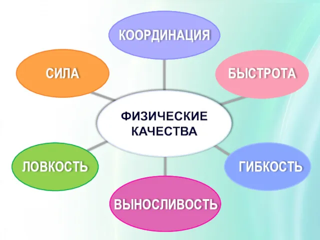 ФИЗИЧЕСКИЕ КАЧЕСТВА КООРДИНАЦИЯ СИЛА КООРДИНАЦИЯ ВЫНОСЛИВОСТЬ БЫСТРОТА ГИБКОСТЬ ЛОВКОСТЬ