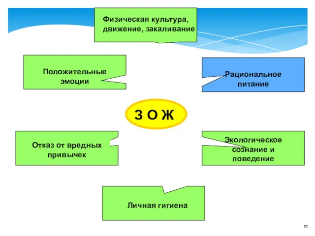 З О Ж Физическая культура, движение, закаливание Положительные эмоции Отказ