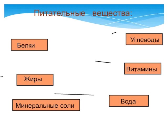 Питательные вещества: Белки Жиры Вода Углеводы Витамины Минеральные соли