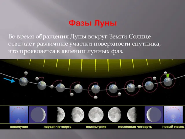 Фазы Луны Во время обращения Луны вокруг Земли Солнце освещает