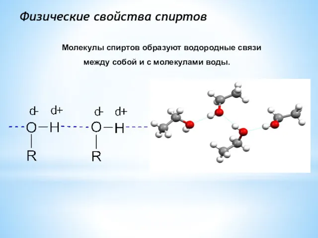 Физические свойства спиртов Молекулы спиртов образуют водородные связи между собой и с молекулами воды.