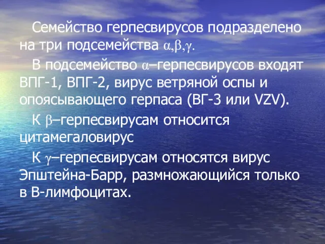 Семейство герпесвирусов подразделено на три подсемейства α,β,γ. В подсемейство α–герпесвирусов