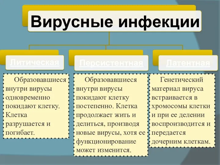 Вирусные инфекции Образовавшиеся внутри вирусы одновременно покидают клетку. Клетка разрушается