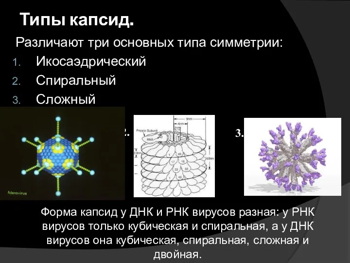 Типы капсид. Различают три основных типа симметрии: Икосаэдрический Спиральный Сложный