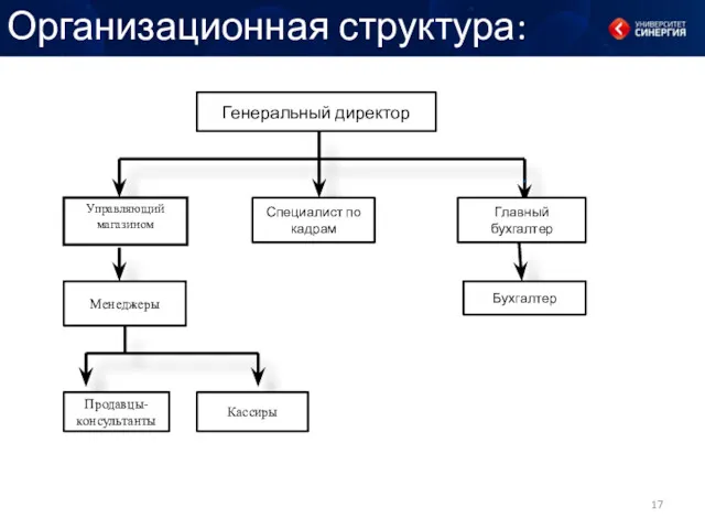 Организационная структура: Генеральный директор Управляющий магазином Специалист по кадрам Главный бухгалтер Бухгалтер Менеджеры Продавцы- консультанты Кассиры