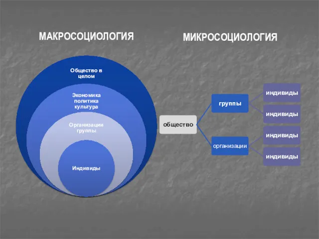 МАКРОСОЦИОЛОГИЯ МИКРОСОЦИОЛОГИЯ