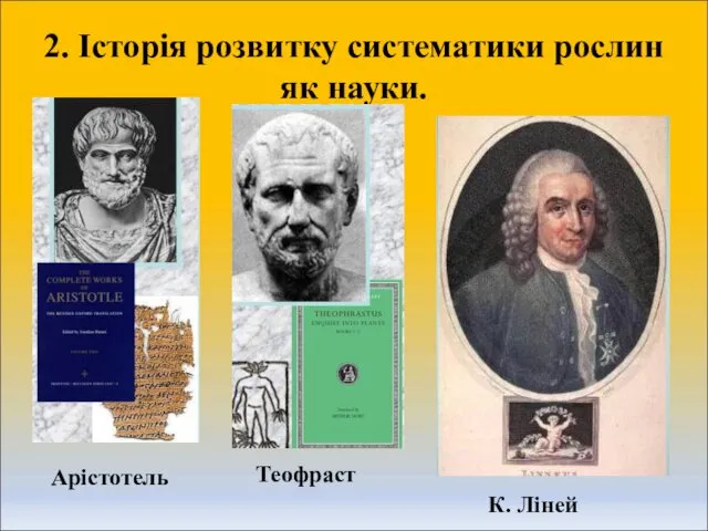 2. Історія розвитку систематики рослин як науки. Арістотель Теофраст К. Ліней