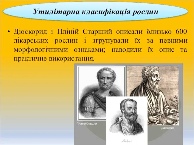 Діоскорид і Пліній Старший описали близько 600 лікарських рослин і