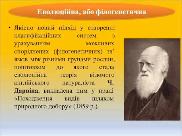 Якісно новий підхід у створенні класифікаційних систем з урахуванням можливих