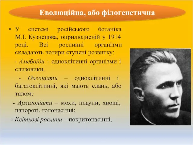 У системі російського ботаніка М.І. Кузнецова, оприлюдненій у 1914 році.