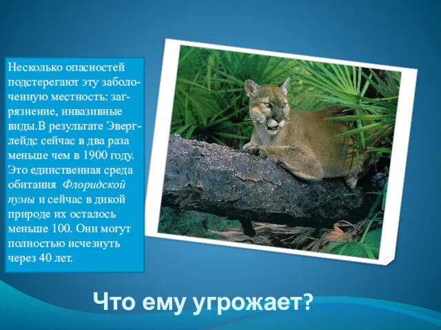 Что ему угрожает? Несколько опасностей подстерегают эту заболо-ченную местность: заг-рязнение,