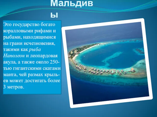 Мальдивы Это государство богато коралловыми рифами и рыбами, находящимися на грани исчезновения, такими