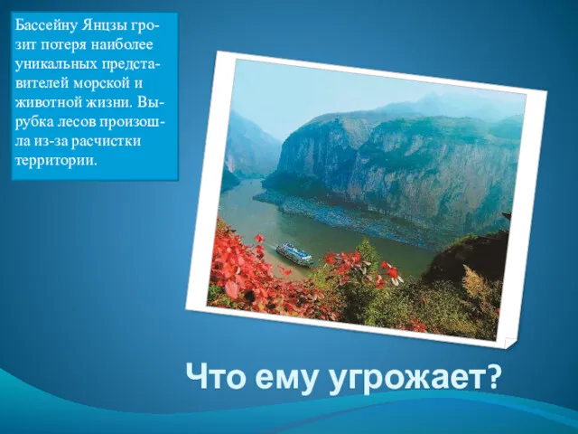 Что ему угрожает? Бассейну Янцзы гро-зит потеря наиболее уникальных предста-вителей