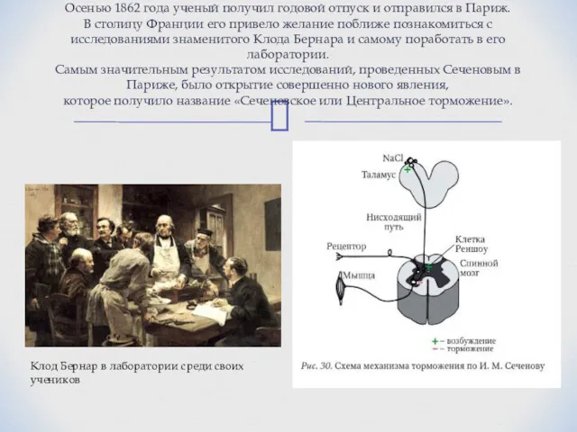 Осенью 1862 года ученый получил годовой отпуск и отправился в