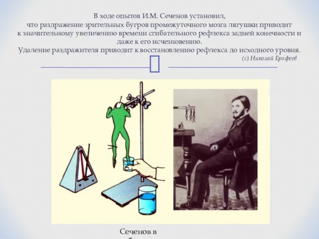 В ходе опытов И.М. Сеченов установил, что раздражение зрительных бугров