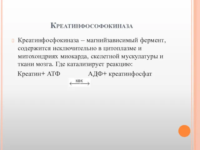 Креатинфософокиназа Креатинфосфокиназа – магнийзависимый фермент,содержится исключительно в цитоплазме и митохондриях