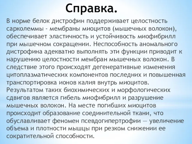 Справка. В норме белок дистрофин поддерживает целостность сарколеммы - мембраны