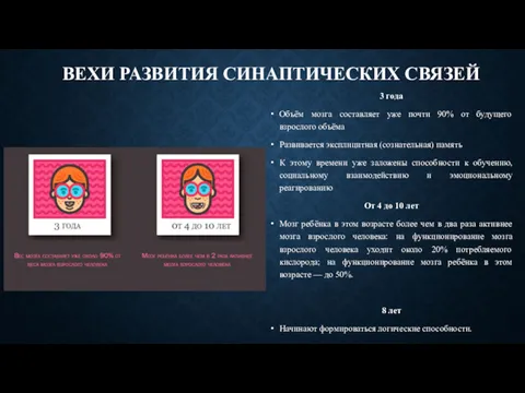 ВЕХИ РАЗВИТИЯ СИНАПТИЧЕСКИХ СВЯЗЕЙ 3 года Объём мозга составляет уже