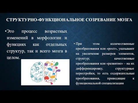 СТРУКТУРНО-ФУНКЦИОНАЛЬНОЕ СОЗРЕВАНИЕ МОЗГА Это процесс возрастных изменений в морфологии и