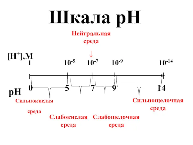 Шкала рН [Н+],M pH 1 10-5 10-7 10-9 10-14 0