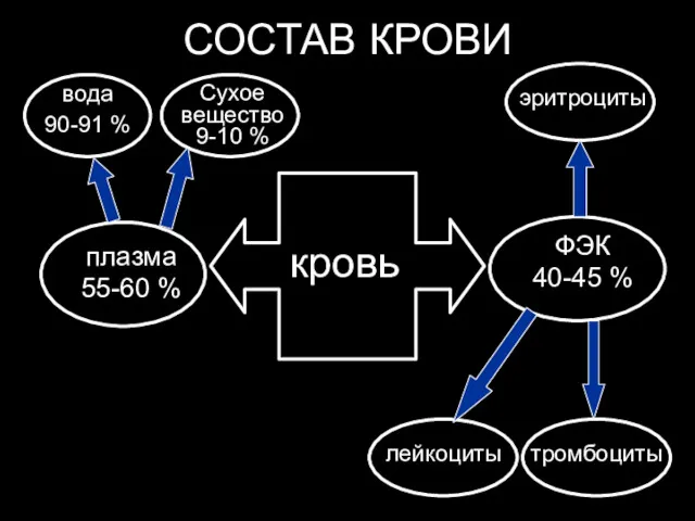 СОСТАВ КРОВИ