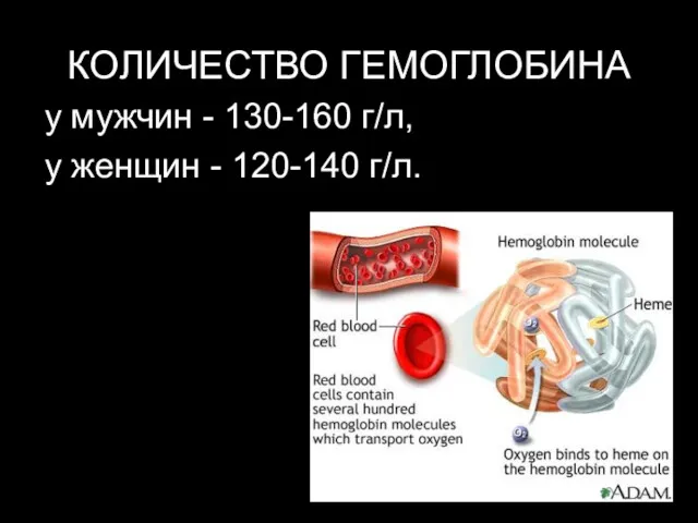 КОЛИЧЕСТВО ГЕМОГЛОБИНА у мужчин - 130-160 г/л, у женщин - 120-140 г/л.