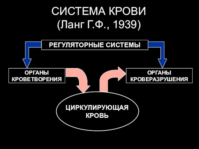 СИСТЕМА КРОВИ (Ланг Г.Ф., 1939)