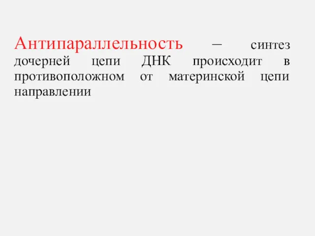 Антипараллельность – синтез дочерней цепи ДНК происходит в противоположном от материнской цепи направлении