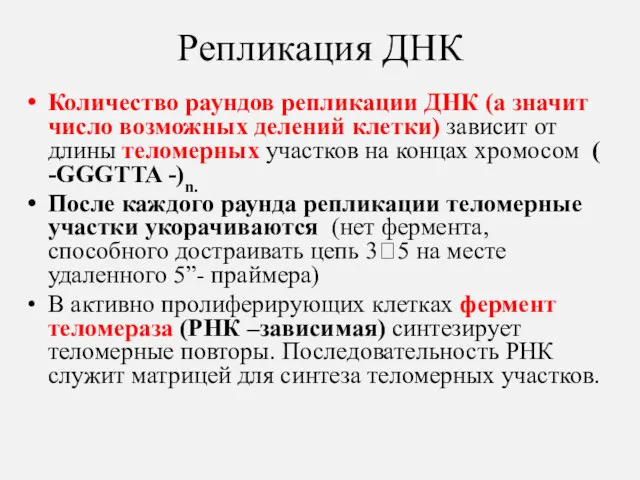 Репликация ДНК Количество раундов репликации ДНК (а значит число возможных делений клетки) зависит