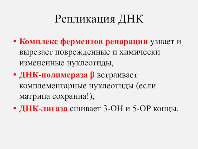 Репликация ДНК Комплекс ферментов репарации узнает и вырезает поврежденные и