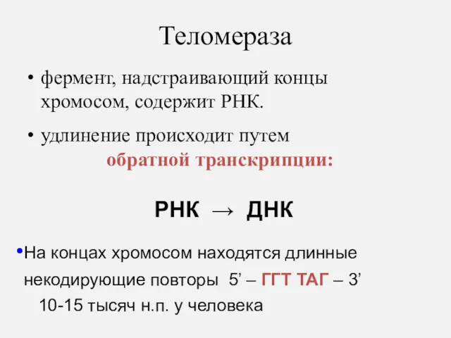 Теломераза фермент, надстраивающий концы хромосом, содержит РНК. удлинение происходит путем обратной транскрипции: РНК