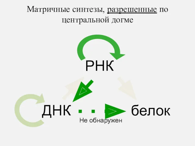 ДНК РНК белок Матричные синтезы, разрешенные по центральной догме Не обнаружен