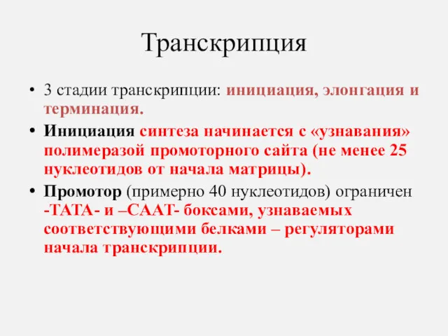 Транскрипция 3 стадии транскрипции: инициация, элонгация и терминация. Инициация синтеза