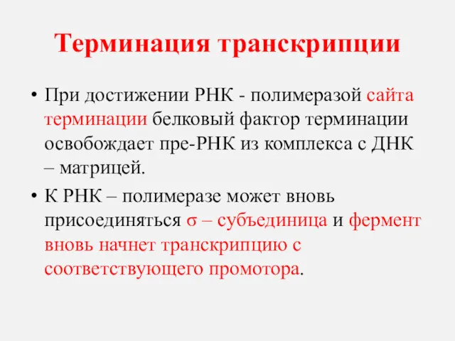 Терминация транскрипции При достижении РНК - полимеразой сайта терминации белковый фактор терминации освобождает