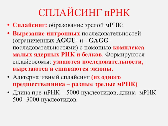 СПЛАЙСИНГ иРНК Сплайсинг: образование зрелой мРНК: Вырезание интронных последовательностей (ограниченных AGGU- и -