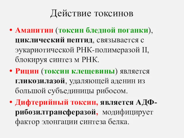 Действие токсинов Аманитин (токсин бледной поганки), циклический пептид, связывается с эукариотической РНК-полимеразой II,