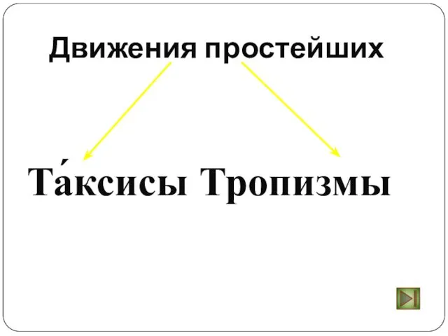 Движения простейших Та́ксисы Тропизмы