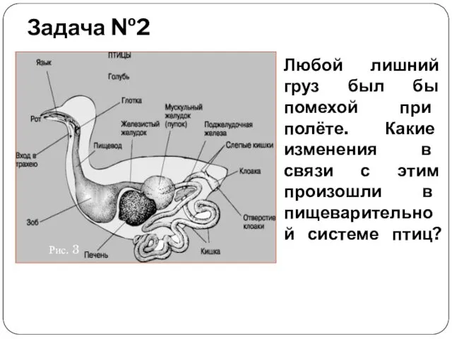 Задача №2 Любой лишний груз был бы помехой при полёте.