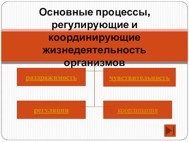 Основные процессы, регулирующие и координирующие жизнедеятельность организмов регуляция раздражимость координация чувствительность