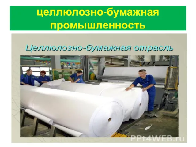 целлюлозно-бумажная промышленность