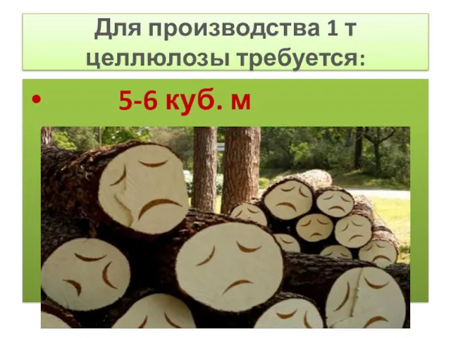 Для производства 1 т целлюлозы требуется: 5-6 куб. м древесины