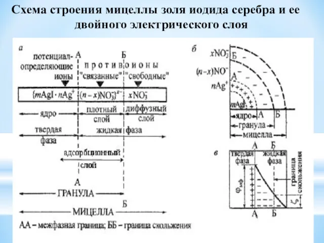 Схема строения мицеллы золя иодида серебра и ее двойного электрического слоя