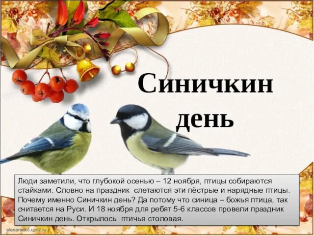 Люди заметили, что глубокой осенью – 12 ноября, птицы собираются