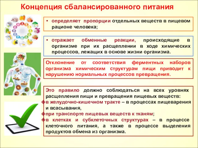 Концепция сбалансированного питания отражает обменные реакции, происходящие в организме при