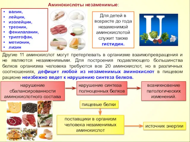 валин, лейцин, изолейцин, треонин, фенилаланин, триптофан, метионин, лизин Аминокислоты незаменимые: