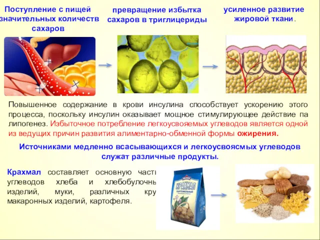 По­вышенное содержание в крови инсулина способствует ускорению этого процесса, поскольку